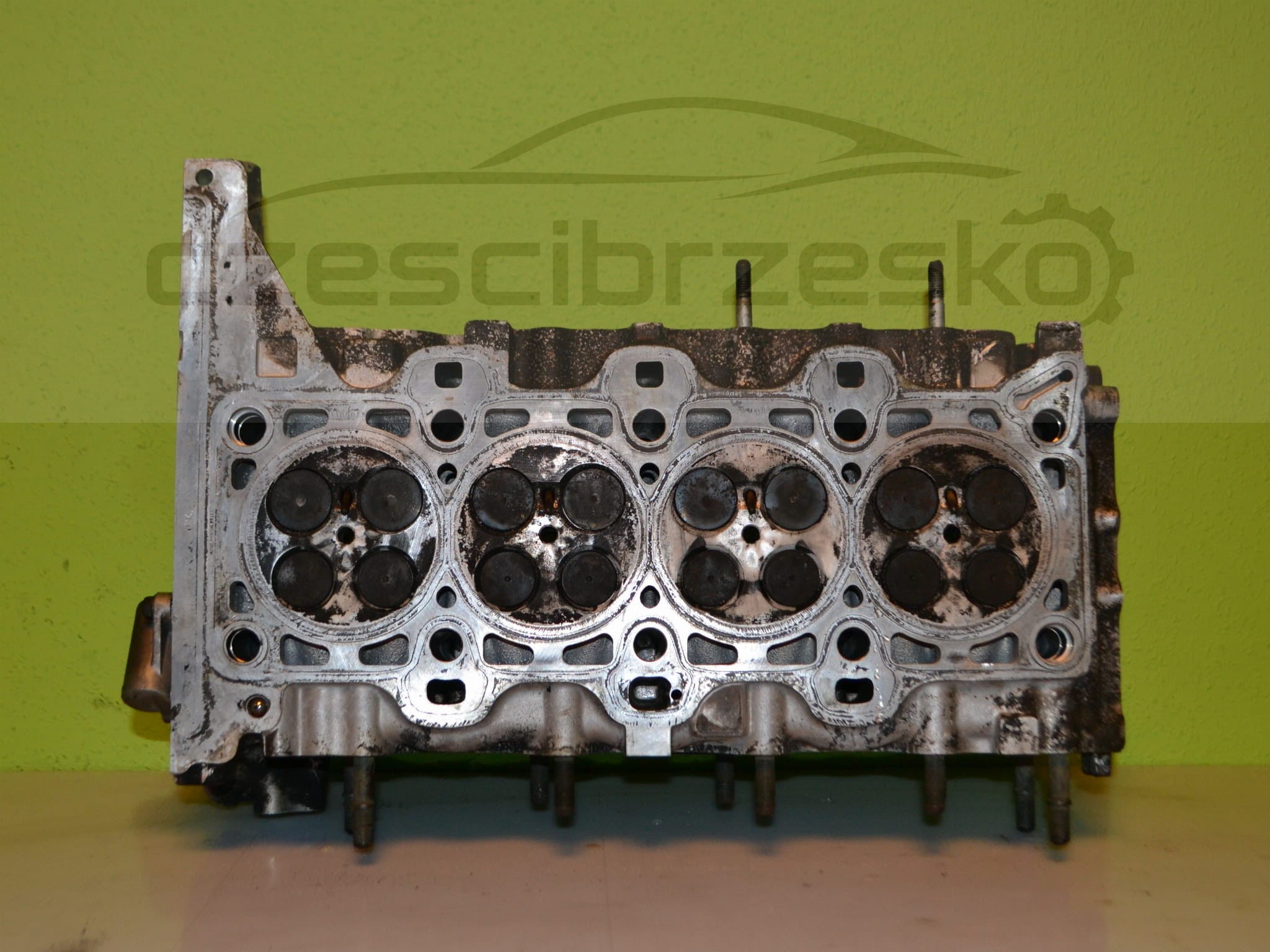 14207cz2.JPG