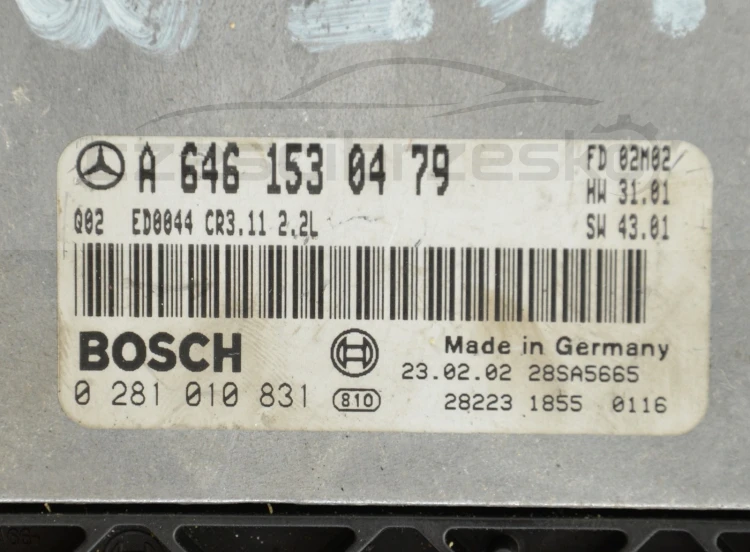 7289996816_2