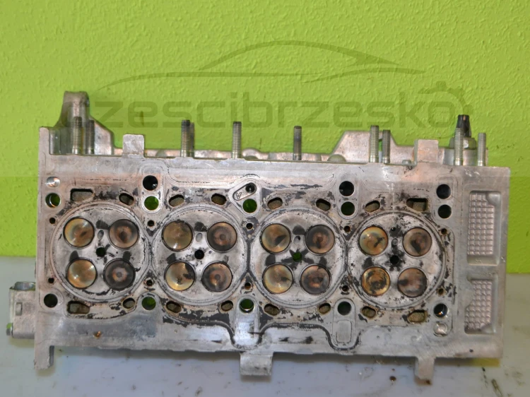 14229cz5.JPG