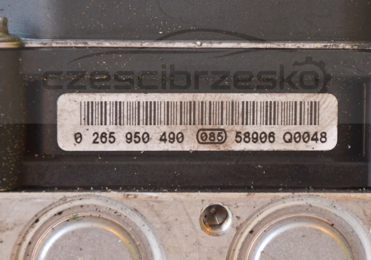 11987cz5.jpg