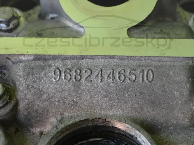 14367cz5.JPG