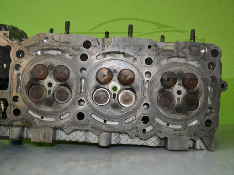 14461cz5.JPG