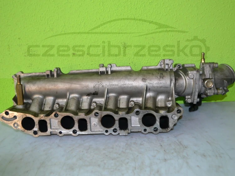 14493cz3.JPG