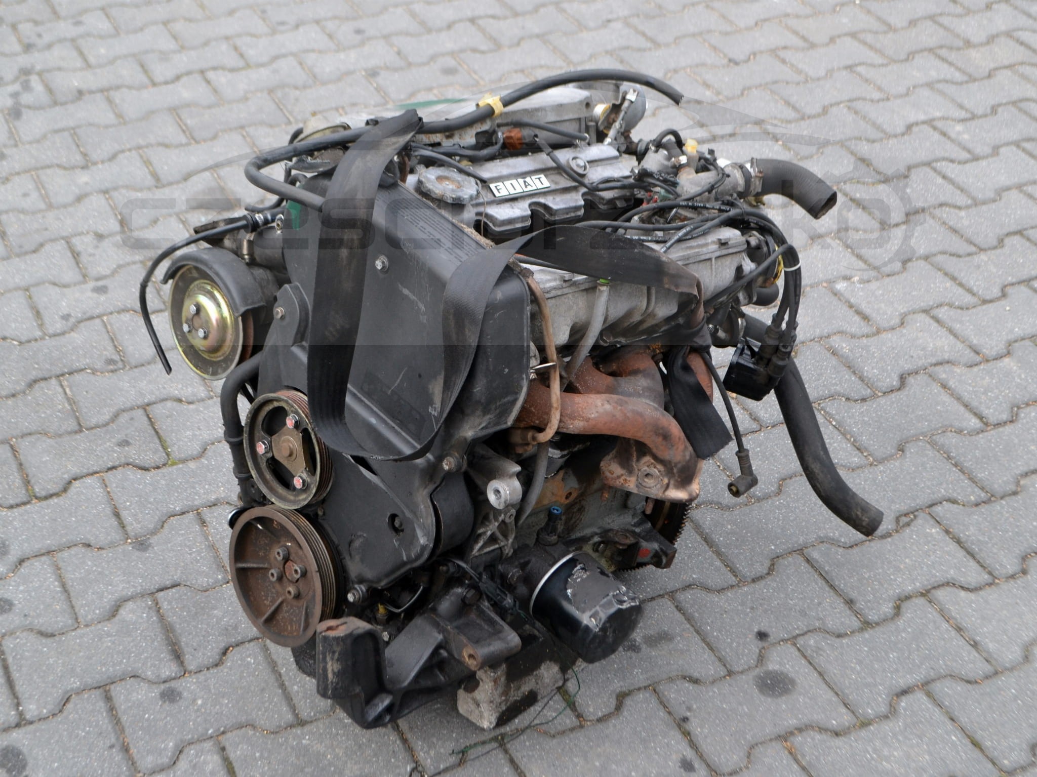 6cz1.JPG