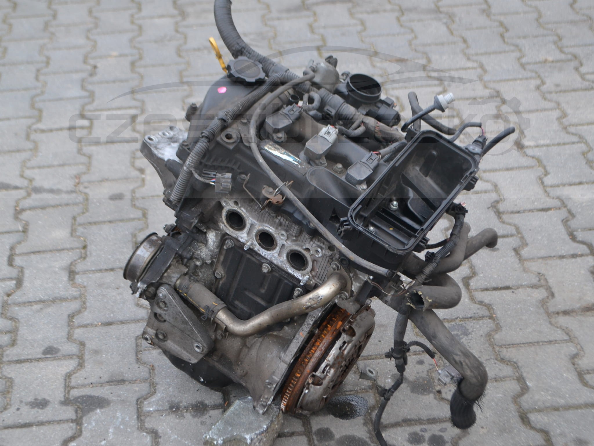 DSC_0081.JPG
