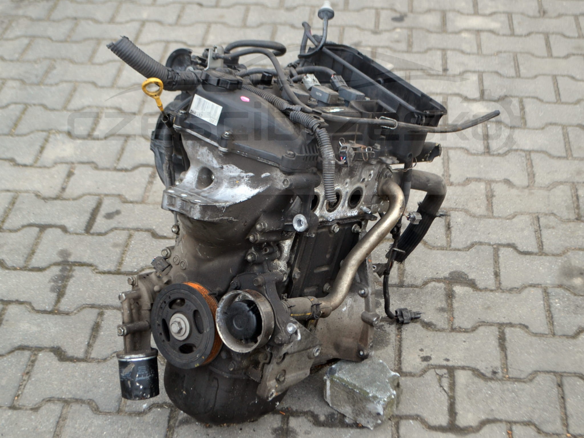 DSC_0082.JPG