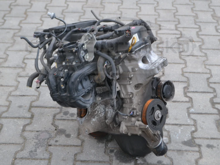 DSC_0083.JPG