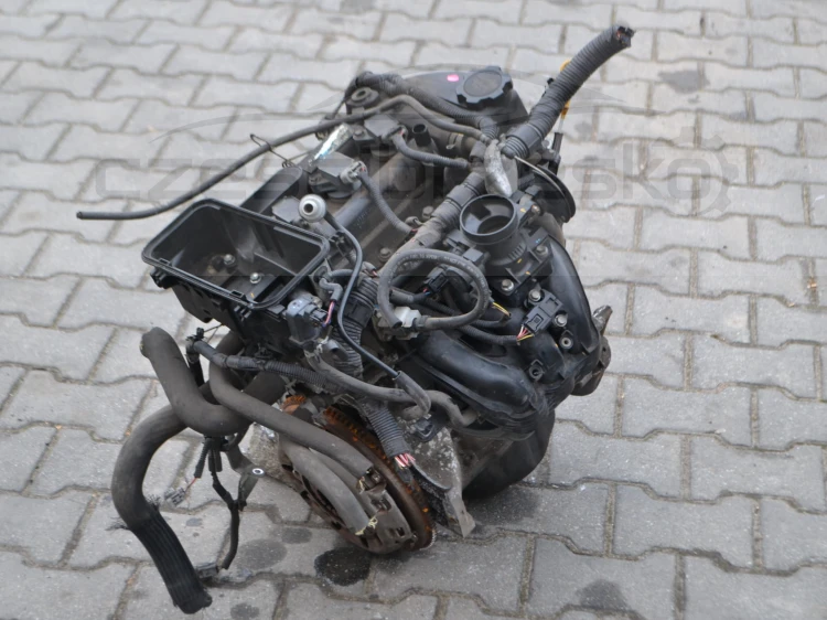 DSC_0084.JPG