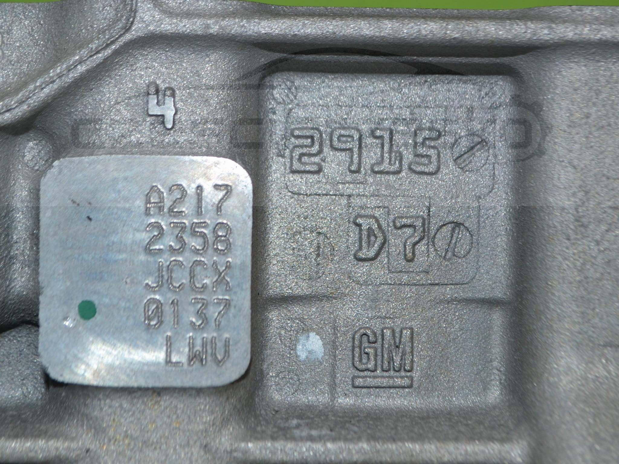 DSC_0606.JPG