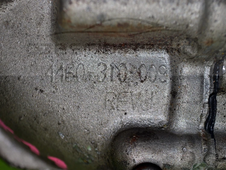 14566cz5.JPG