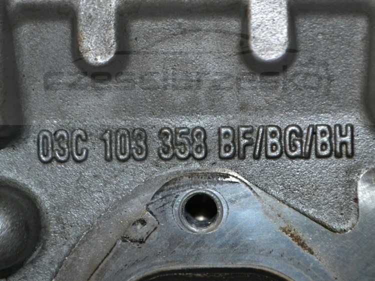 14613cz5.JPG
