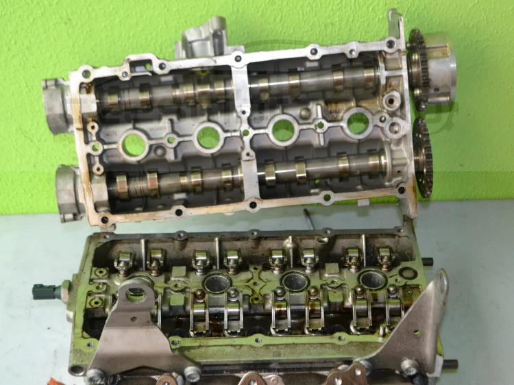 14613cz8.JPG