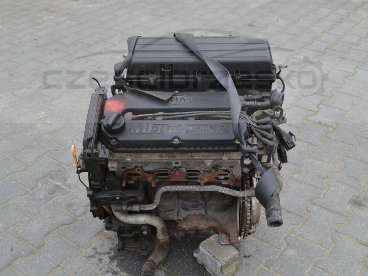 5cz3.JPG