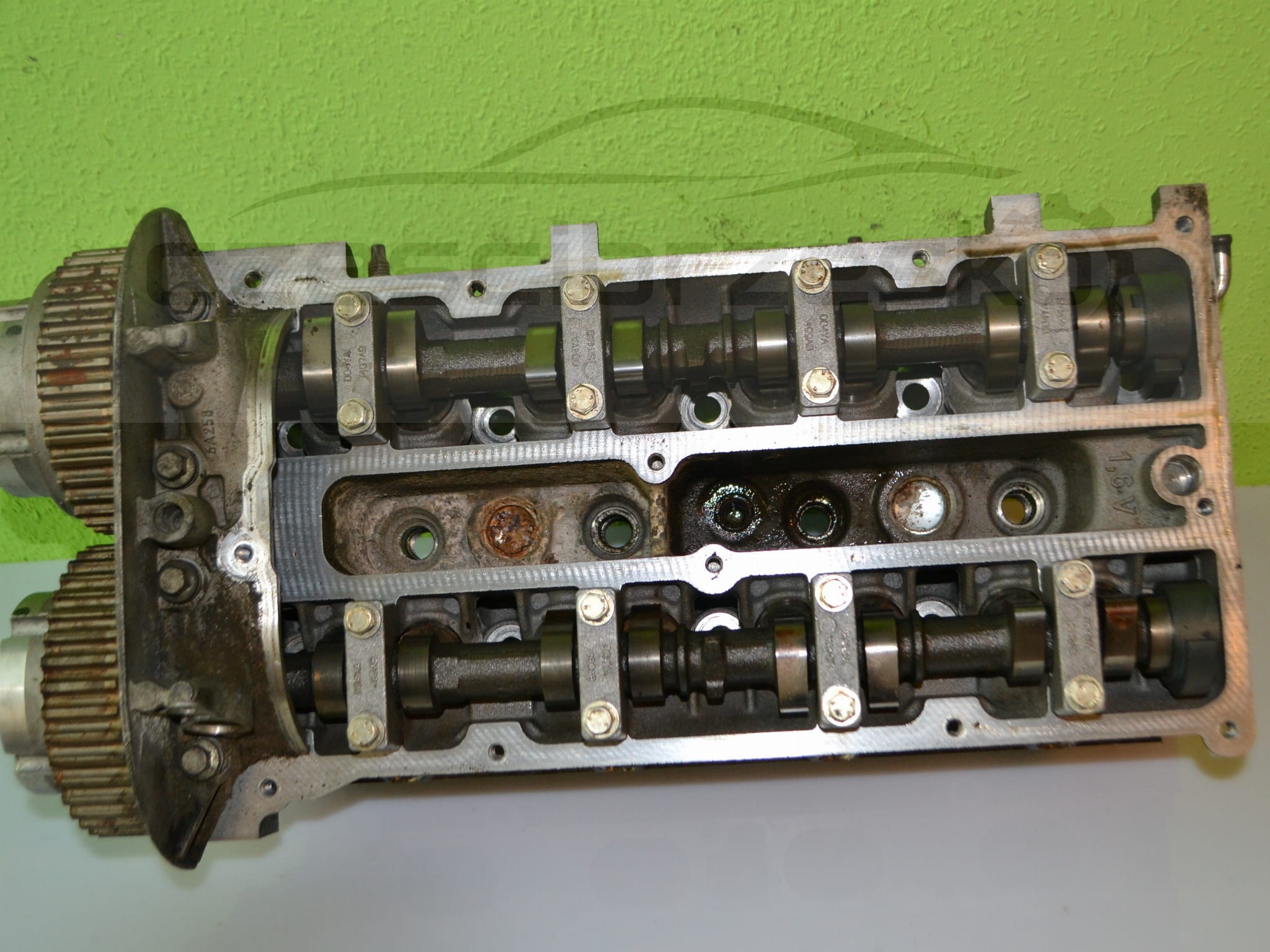 14641cz2.JPG