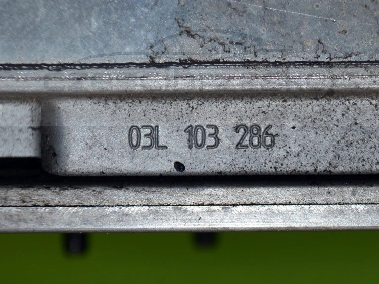 11cz5.JPG