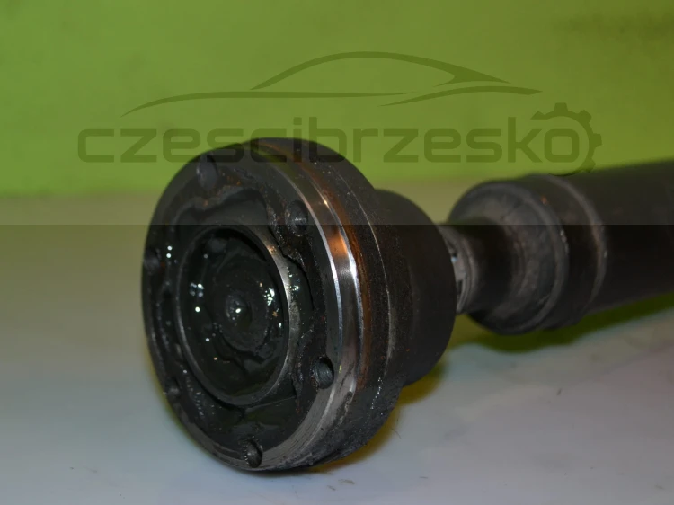 14813cz3.JPG