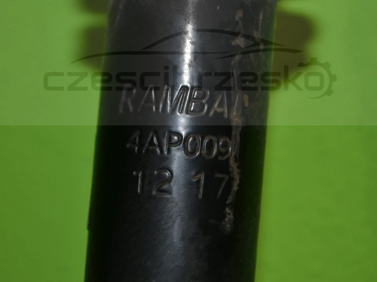 14834cz2.JPG