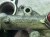 IMG_6208.JPEG