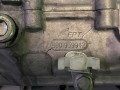 IMG_6177.JPEG