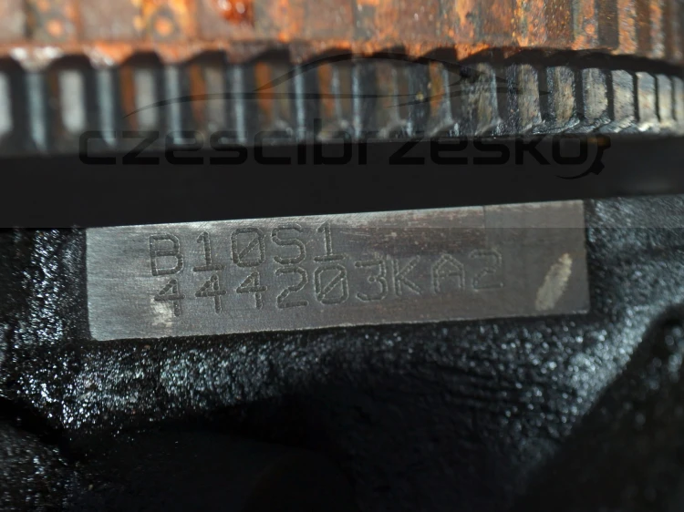 2cz6.JPG