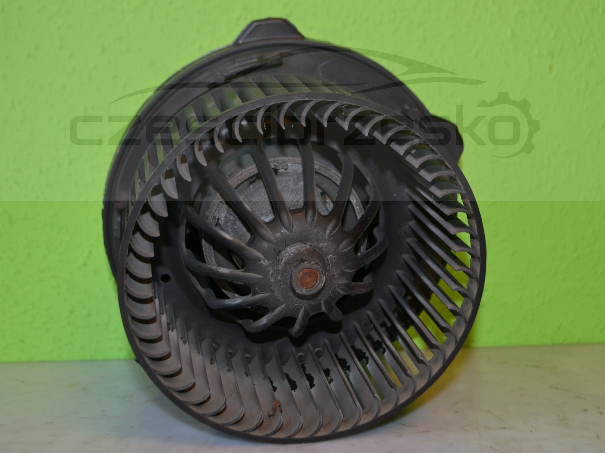 14907cz2.JPG
