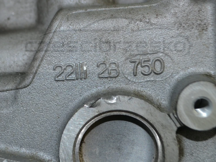 14909cz6.JPG