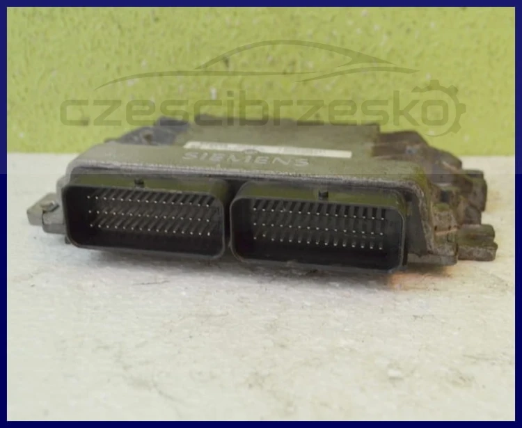 4953cz3.jpg