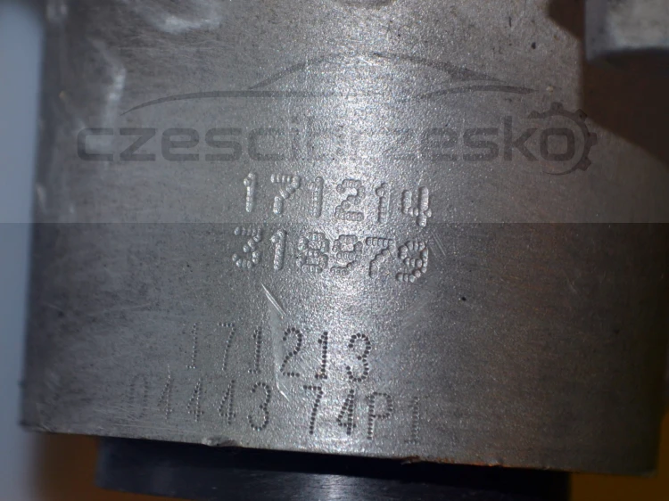 15030cz6.JPG