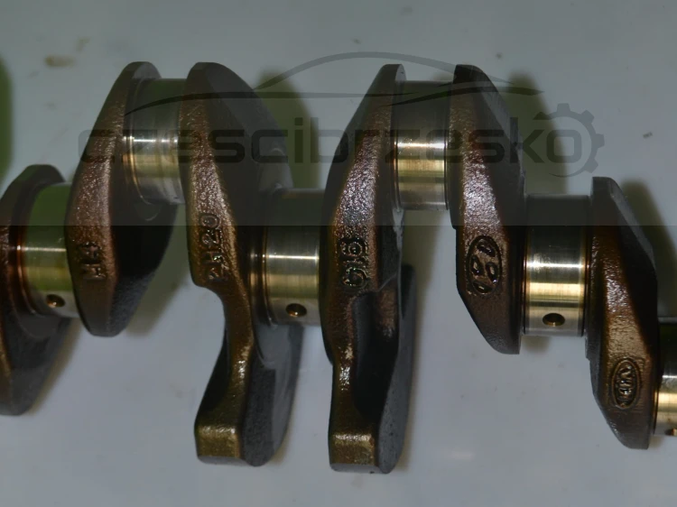 15060cz7.JPG