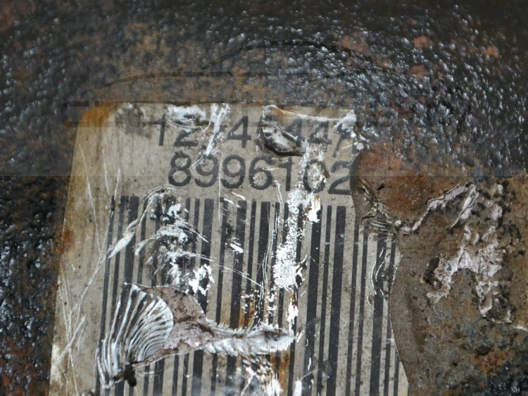 15100cz4.JPG