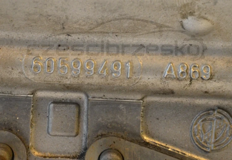8974cz5.jpg