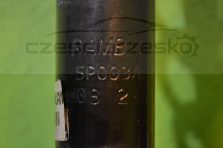 15139cz3.JPG