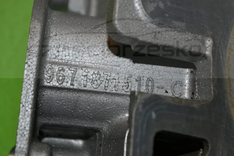 15146cz5.JPG