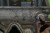 15147cz4.JPG