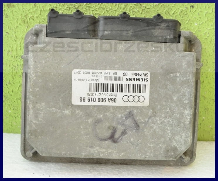 5335cz2.jpg