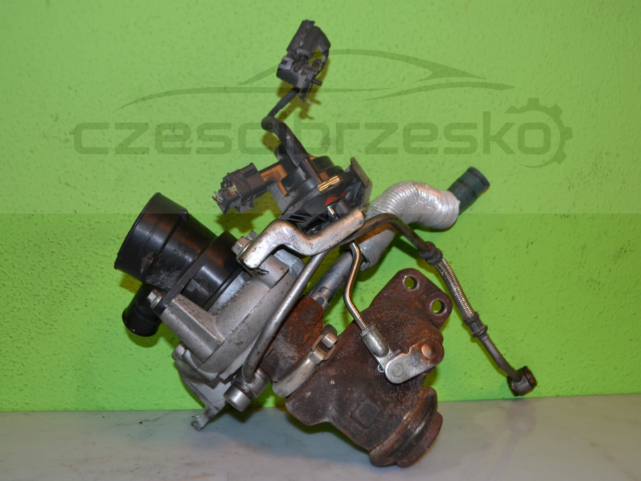 15171cz1.JPG