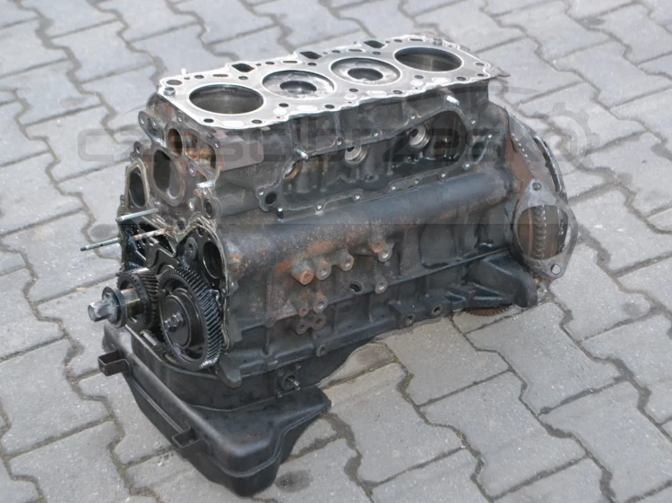 DSC_4078.JPG