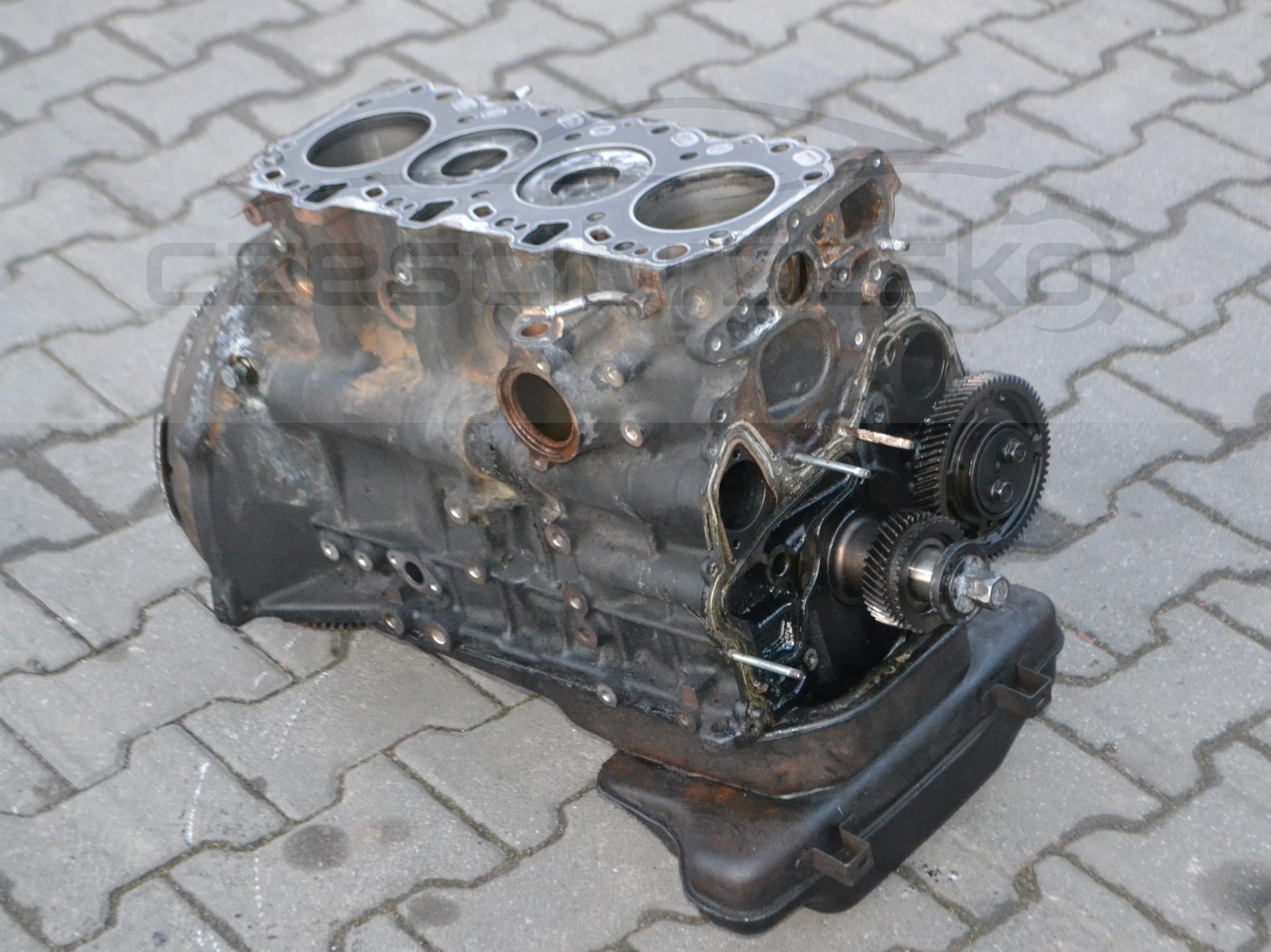 DSC_4079.JPG