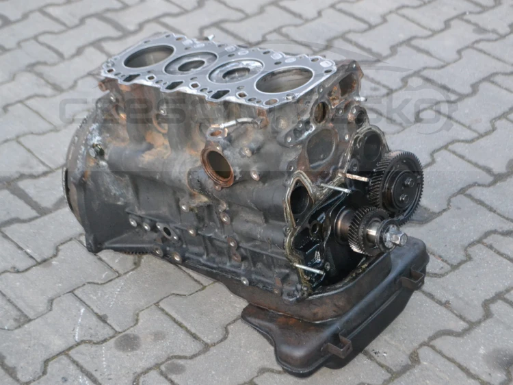 DSC_4079.JPG