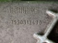 15269cz7.JPG