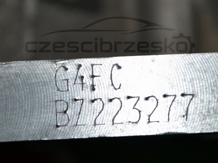 15284cz8.JPG
