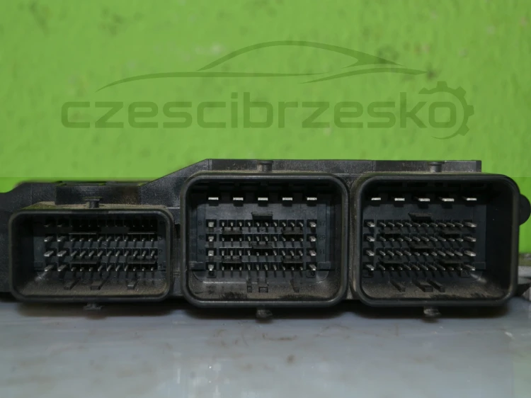 15304cz2.JPG