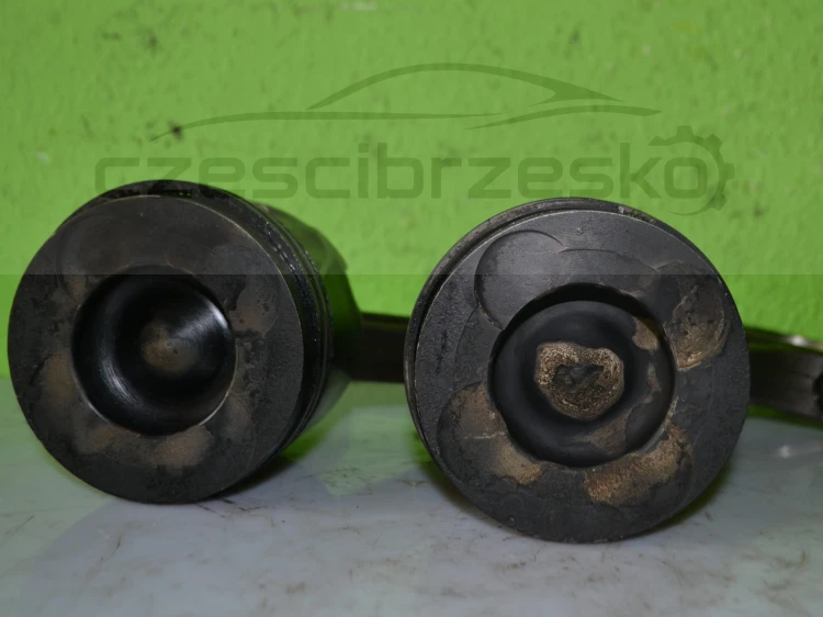 15305cz3.JPG