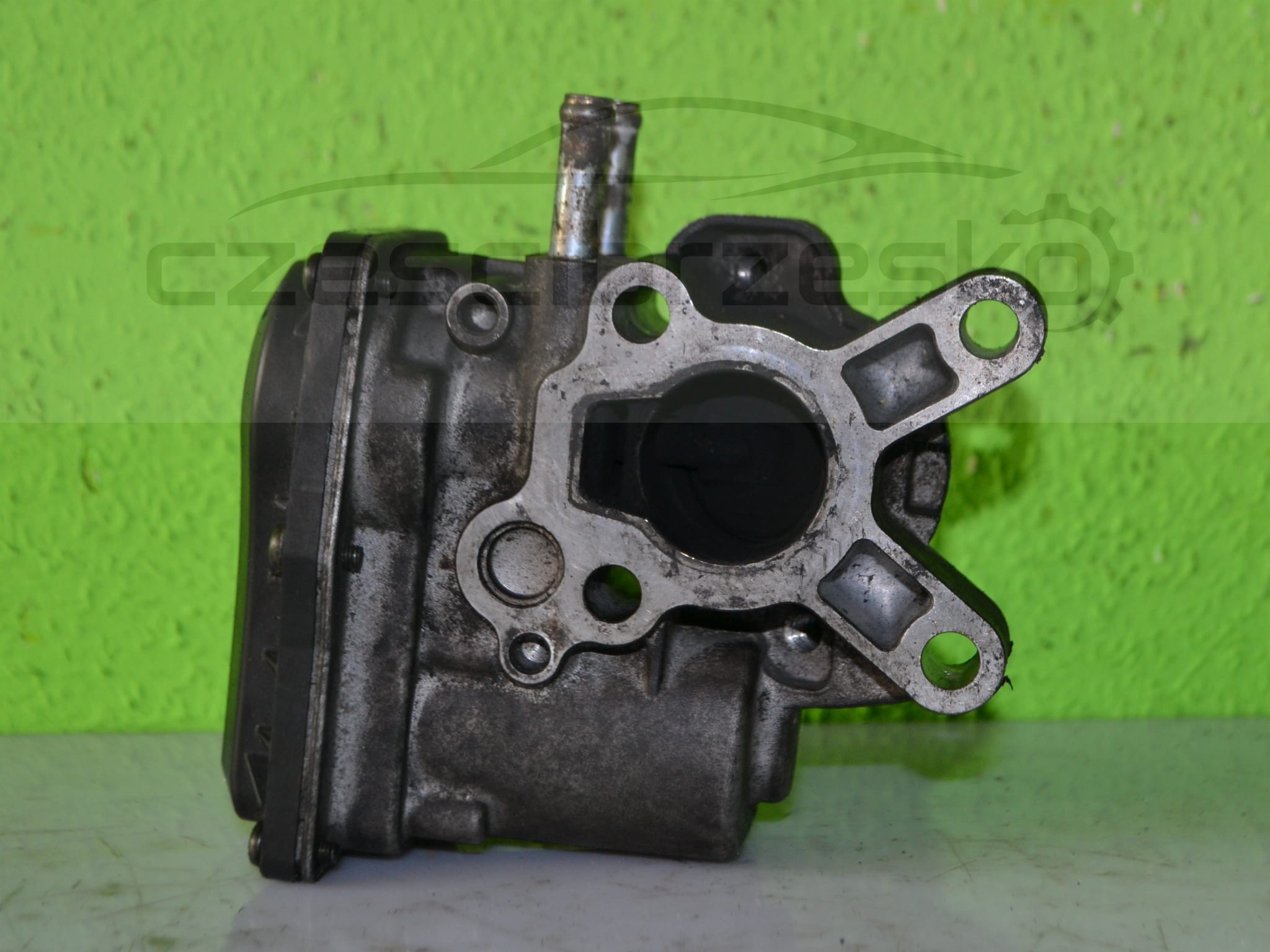 15307cz2.JPG