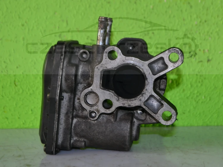 15307cz2.JPG