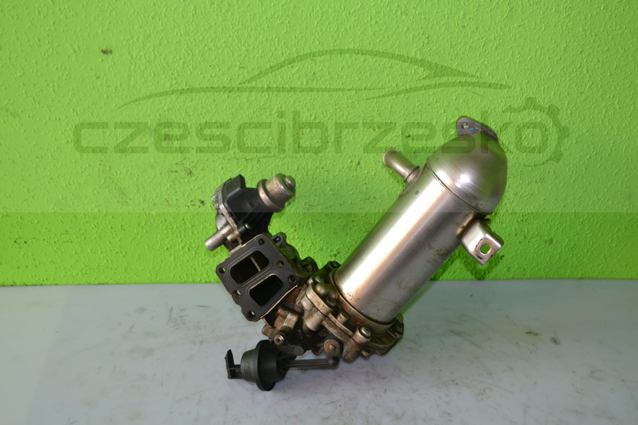 15310cz1.JPG