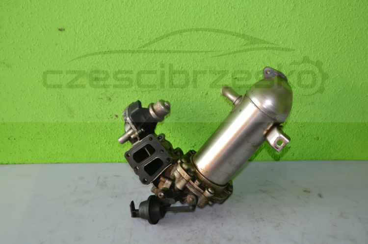 15310cz1.JPG