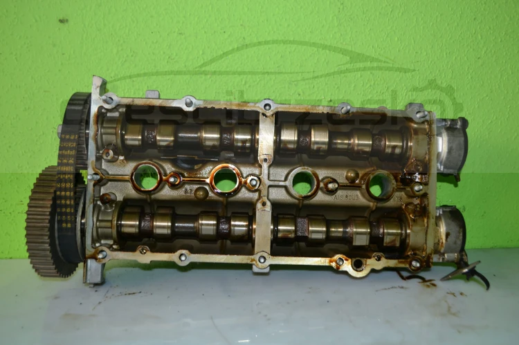15311cz8.JPG