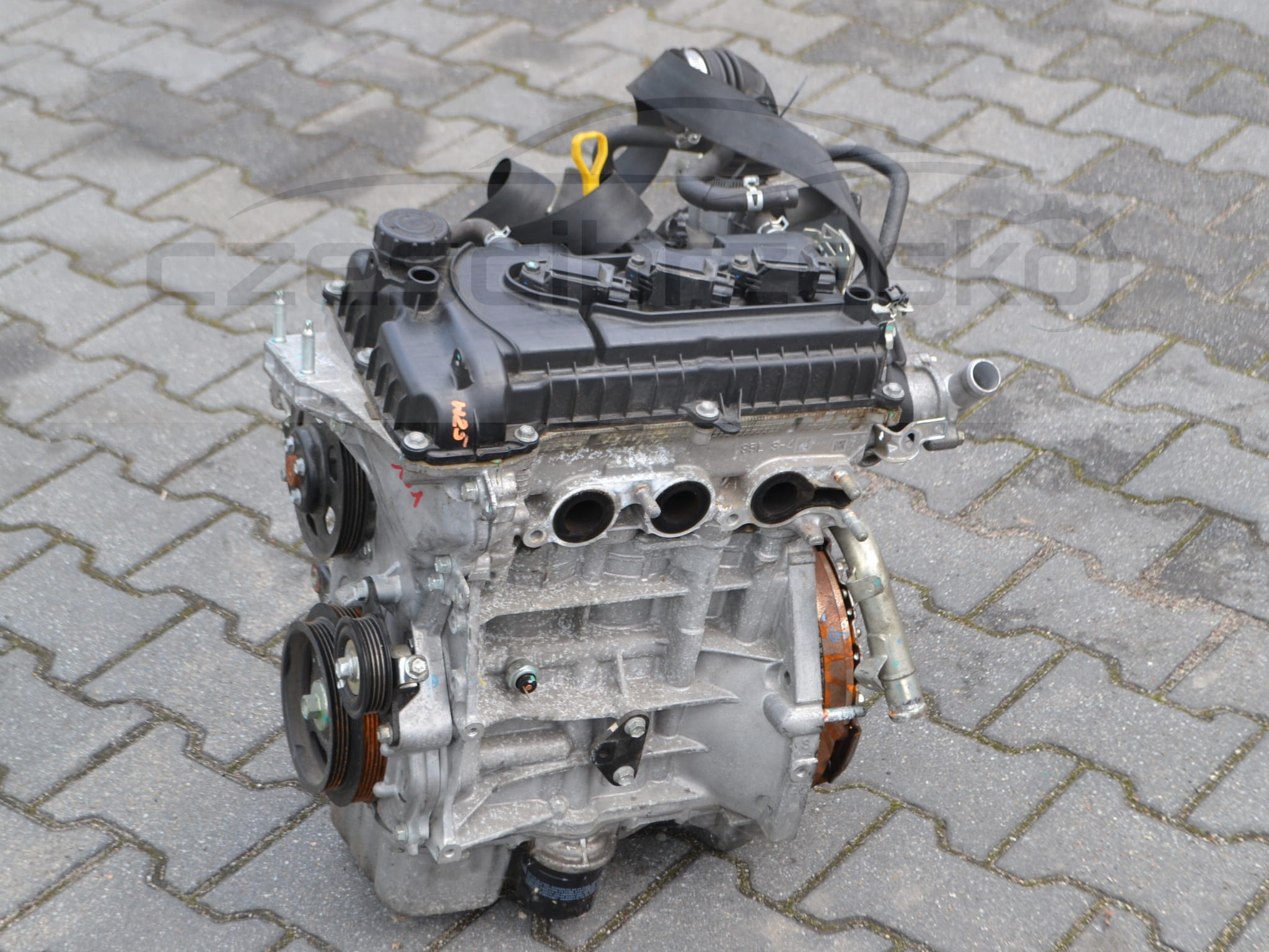 DSC_0033.JPG