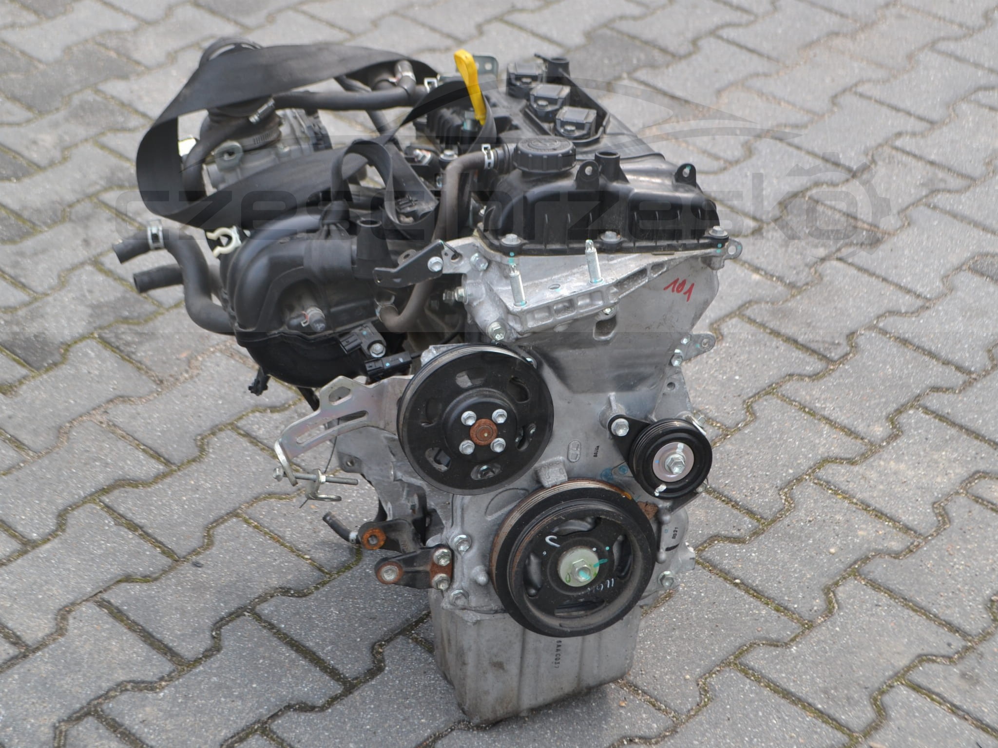 DSC_0034.JPG